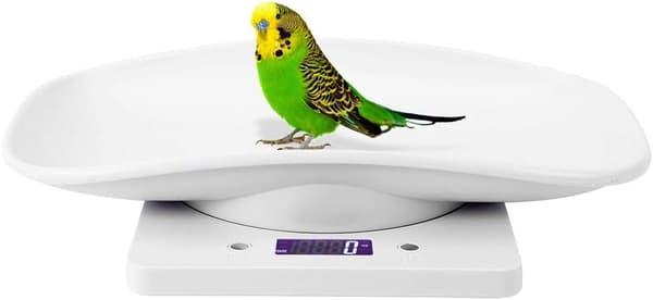 10kg/1g Digital Vektskål for Små Dyr - Nøyaktig Måling