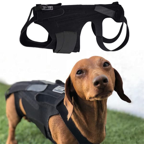Hundesele Taktisk Hundesele Smertelindring
