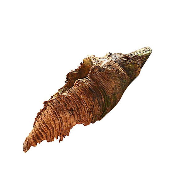 Creative Wood Root PLANTER Hinklåda Blomsterplanterare Hem Utomhusdekor # 1