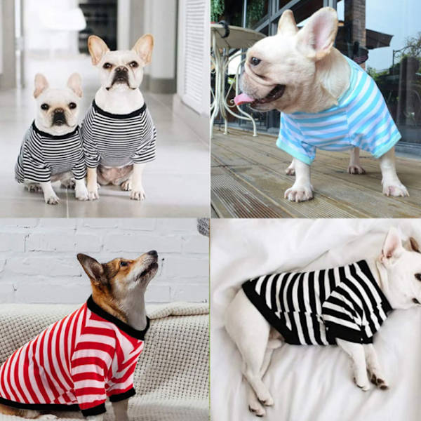 4-delad t-shirt för sommardjur och hund randig rund hals xl
