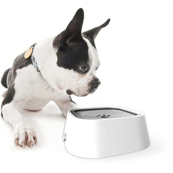 Vandskål til kæledyr, spildfri drikkeskål til hund og kat white