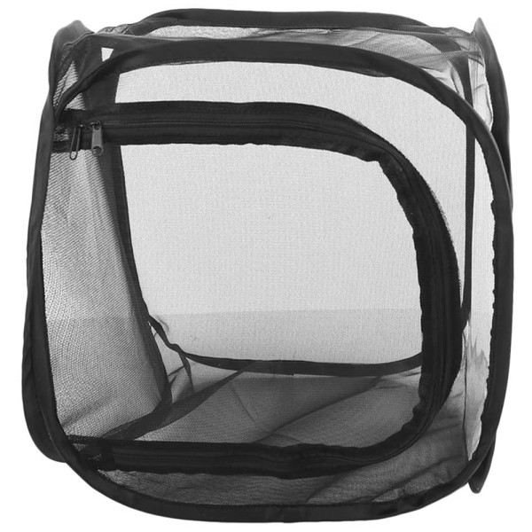 Insekt- og sommerfuglhabitatbur Stor bærbar insektmonark 30*30*30cm