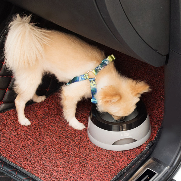 Hundevandskål No-Spill Kæledyrsvandskål Skridsikker bund 750 ml langsom vanddispenser til hunde Katte Bilrejser Pink