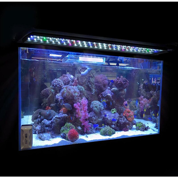 LED-akvarium, justerbar fuldspektrum belysning til ferskvand Aq