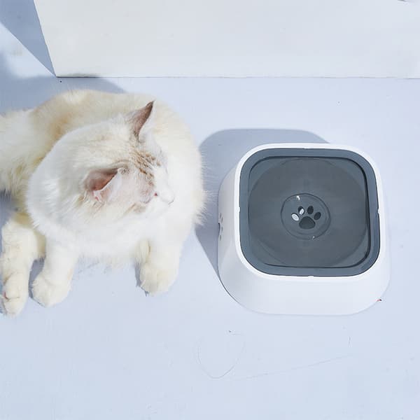 Vandskål til kæledyr, spildfri drikkeskål til hund og kat white