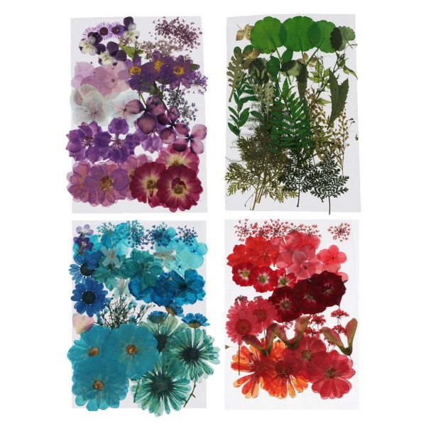 36/38/39 st Naturpressad torkad blomma Bordskortkatalog Väggdekorationer