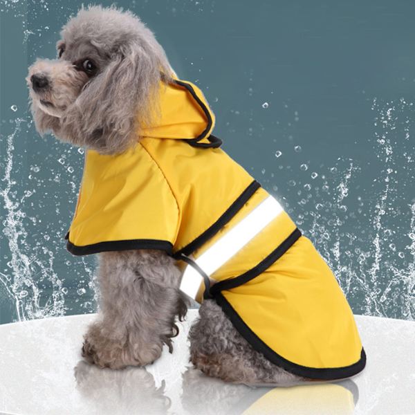 Hundetrøje Jeg elsker in aa Hundetrøje til så hundetøj, m