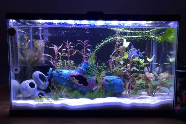 Akvarium botten dekoration vrak dekoration - hartsartade material