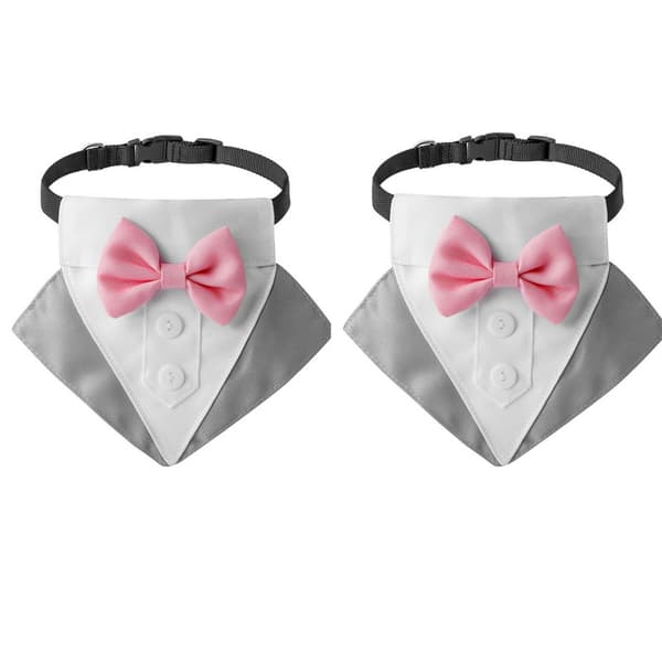 2 koiran häähuivi (harmaa ja valkoinen)