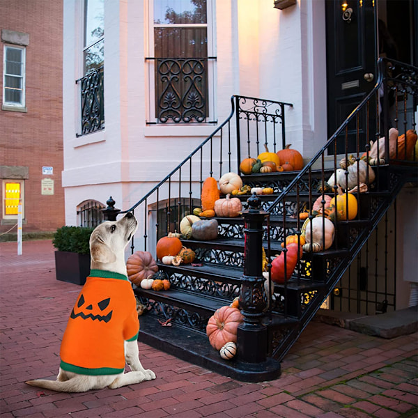 Koiran Halloween-paita Lemmikkivaatteet Kurpitsapää pienille koirille Kissalle XS