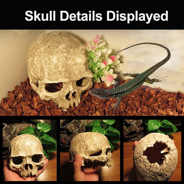 Akvarium Hodeskalle Dekor - Resin Akvarium Dekorasjoner Hule Betta Fisk Gjemmested Reptilhus for Små Fisker og Reker