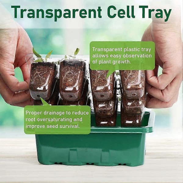 Indendørs drivhus propagator mini drivhus vindueskarm sæt til spiring af frøplanter (12 stk.)