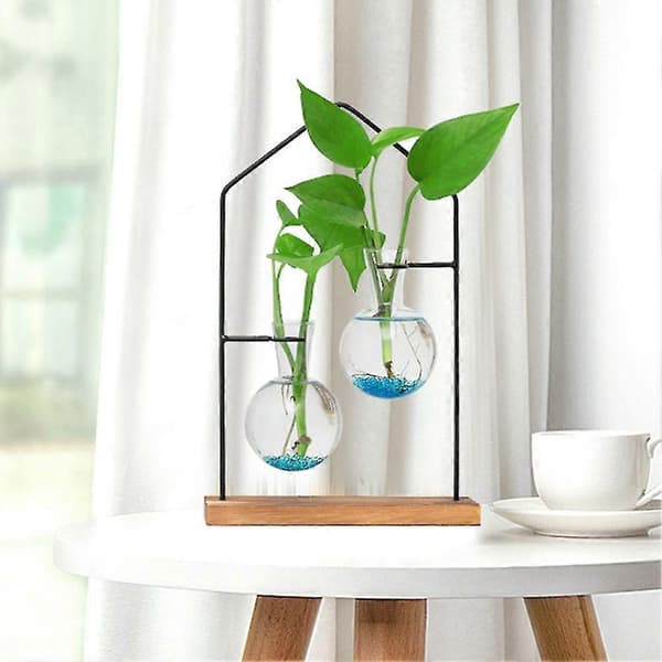 Bordsställ för växtförökning, hydroponisk växtblomdekorationsvas, transparent glas för vardagsrum