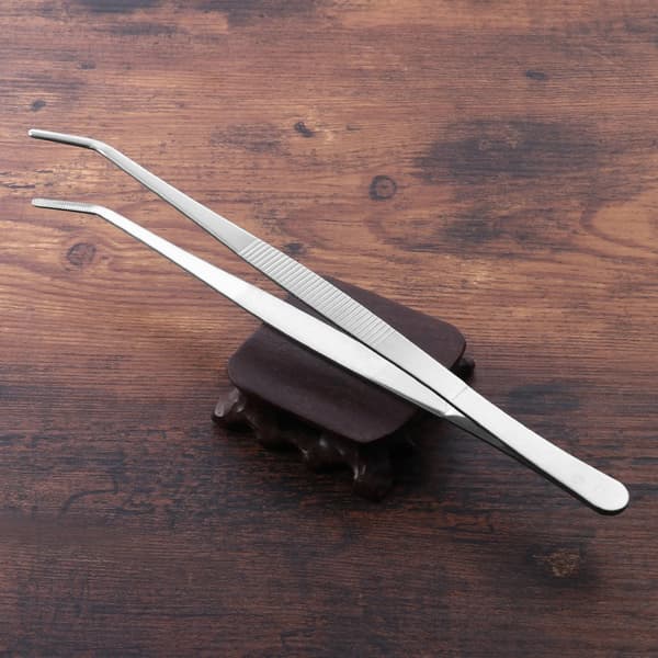 2st 25cm Rostfritt stål Säker Slät Rak Pincett Matning