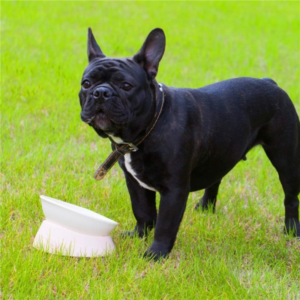 Bulldog Bowl Anti-Slip Hund Kattebolle Avtakbar hundeskål i gummi White