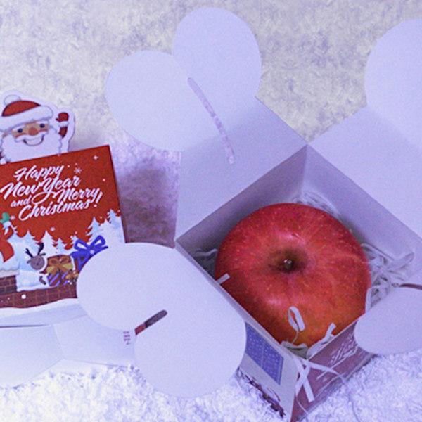 Julgodispresentförpackning 10 stycken Julfestfavorit Pappersgodisask null - Apple box 3
