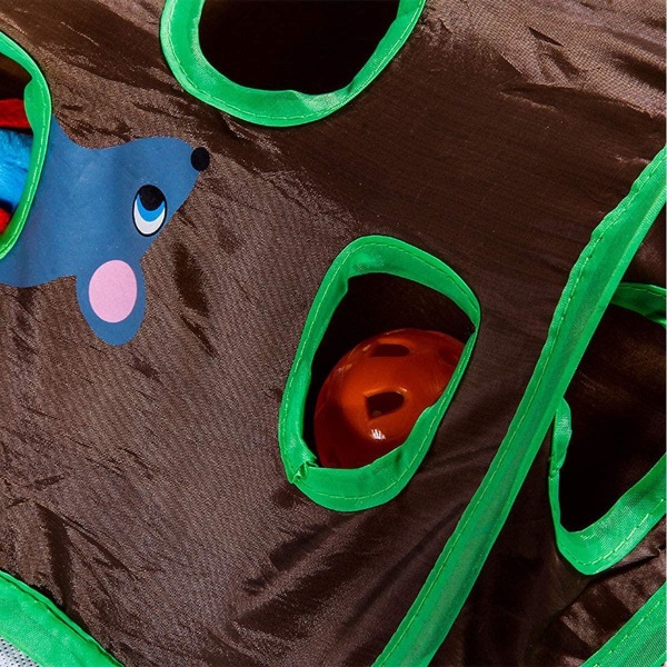 Kattetunnel med Mus multicolor