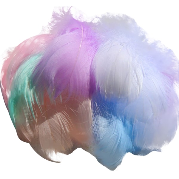100 st flerfärgad fjäder för genomskinlig bobo-ballongfylld födelsedag bröllopsdekoration DIY-blomsterarrangemang null - B