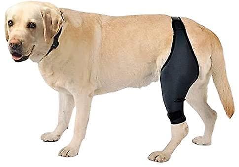 Hundknästöd för ACL, cap , artrit - Håller leden varma - Extra stöd - Minskar smärta Right XXL