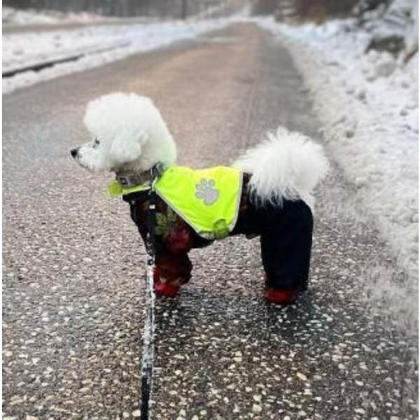 HUND REFLEXVÄST Feel Active Reflective ,M,L Storlek S