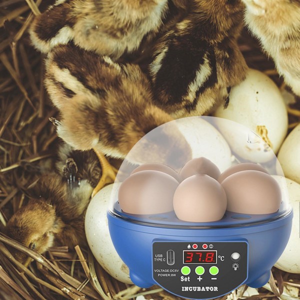 USB 6 Eggs Incubator Automatisk Äggvändare för att kläcka fåglar och