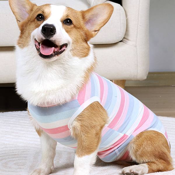 Lemmikkieläinten vaatteet Hengittävät koiranvaatteet juk selkäpainike Design Raidallinen painatus Pink Stripes M