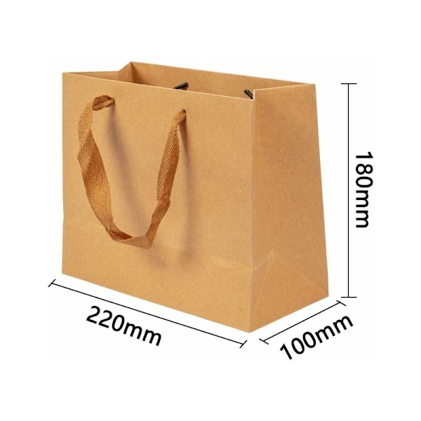 10 stk. Brun Kraftpapir Småposer Gaveposer i stof med håndtag til fødselsdagsbryllupper, teselskaber og fejringer 22×18×10cm - DKSFJKL