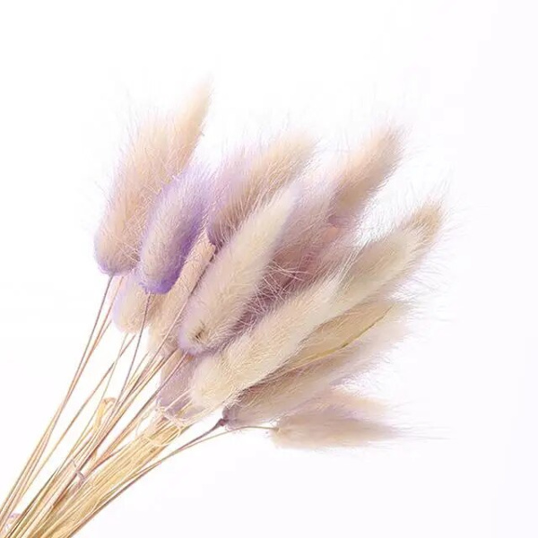 30 stk/lot naturlige tørkede blomster kaninhale gress bunt fargerike Lagurus Ovatus ekte blomsterbukett for hjem bryllup dekorasjon Purple White