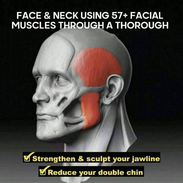 Jawline Face Exerciser Fitness Ball Neck Jaw Toner 50 paunaa