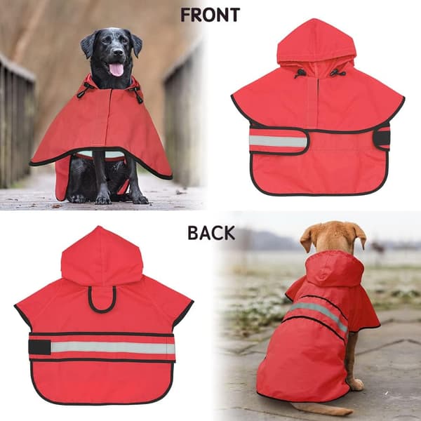 Sadetakki koirille Poncho