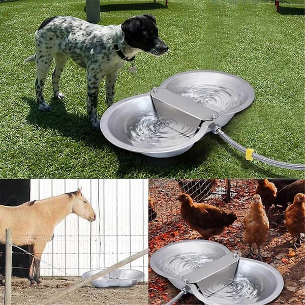 2 Gallon Stor Automatisk Vannbeholder for Hund, Flyteventilsett, Drikketrau i Rustfritt Stål for Dyr