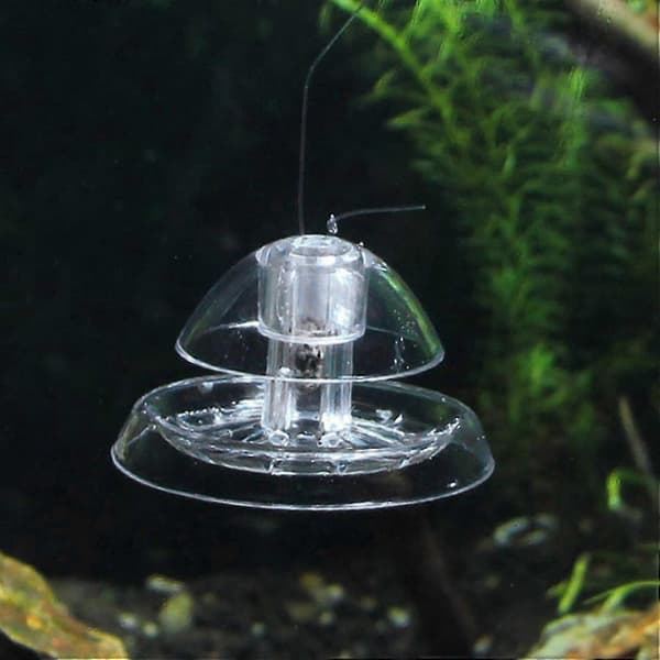 2 st Snigelfälla för akvarium Plast Klar Snigelfälla Akvarieväxter Planaria Igel Katt
