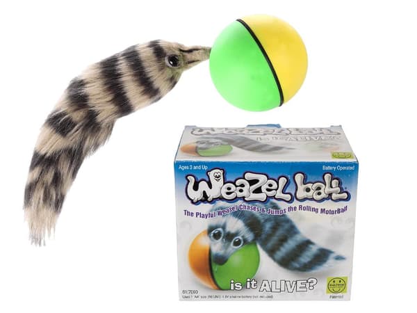 Kattelegetøj / Hundelegetøj - Legetøj til Hund & Kat - Klassisk multicolor