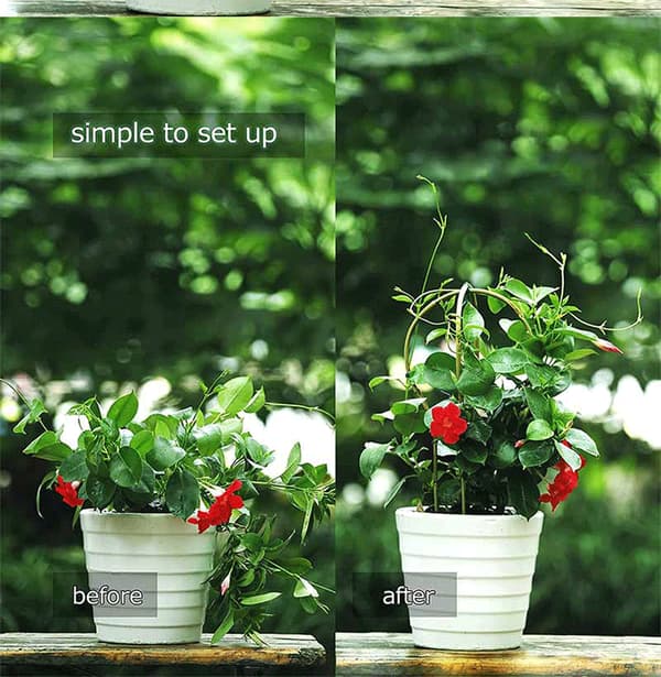 Form Bambus Plantestøtte - 40cm for Innendørs Klatreplanter, Eføy
