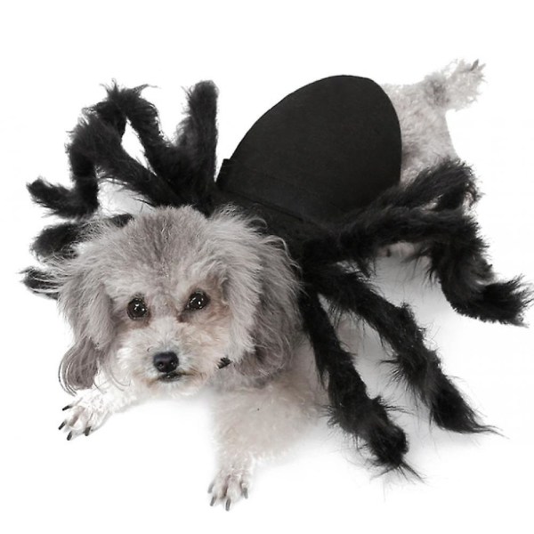 Kostymer Pet Spider Pup Hund Kostym Dräkt(M)