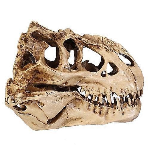 Unik dinosaurieskallemodell i harts för inomhusbruk