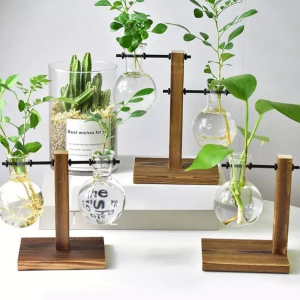 Hydroponisk Transparent Glas Vas Planter Träram Blomma Va C One-size