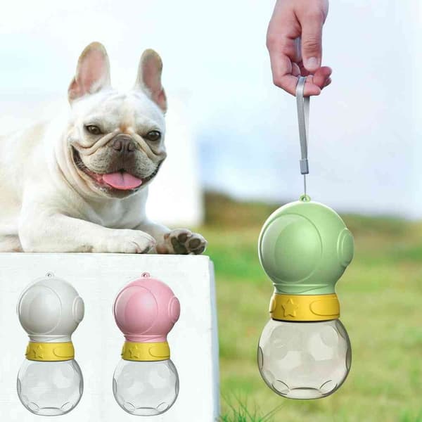 Hund Vattenflaska Hundar Skål GRÖN green