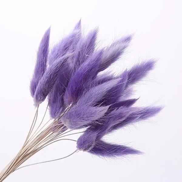 30 stk/lot naturlige tørkede blomster kaninhale gress bunt fargerike Lagurus Ovatus ekte blomsterbukett for hjem bryllup dekorasjon Purple