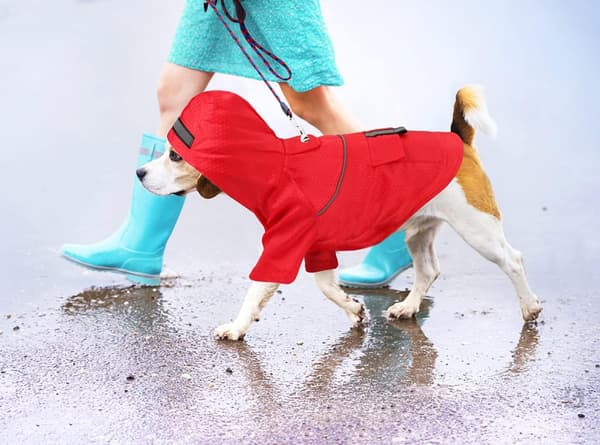 Lättvikts regnjacka för hund Regnponcho för hund, med reflex