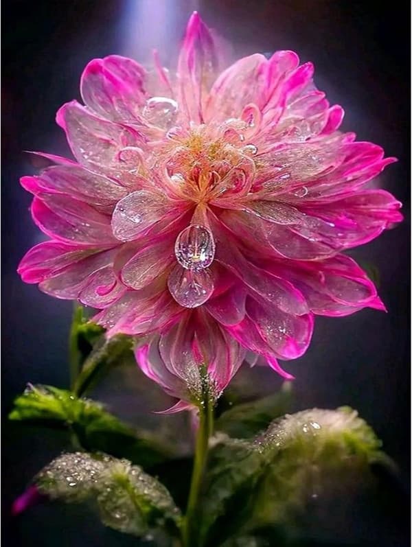 DIY diamantmaling, diamantkunstmaleri blomstersæt