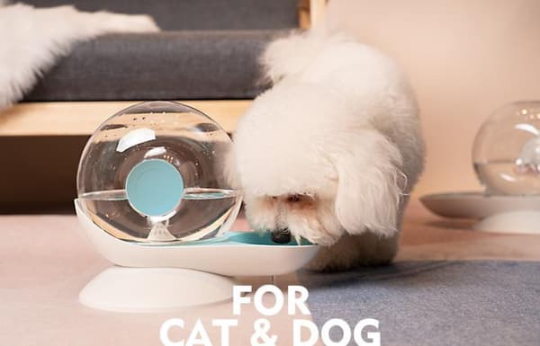 Kat og hund vandfontæne transparent 2,8L 1 stk blå