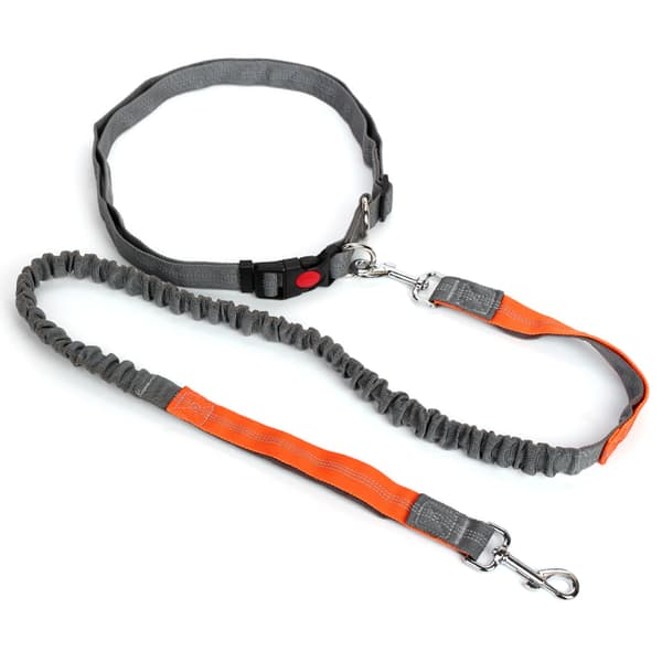 Hundebånd Elastisk hundebånd Trening Walking Dog Line