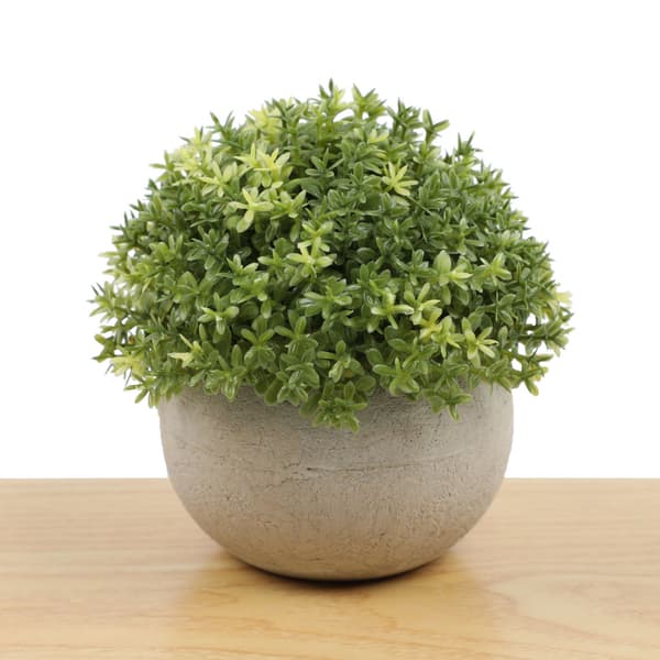 Kunstig stueplante mini kunstige planter potter eukalyptus rosmarin