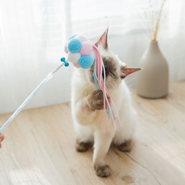 Söt kattteaser stick kattleksak kattunge som slipar tänder 2#