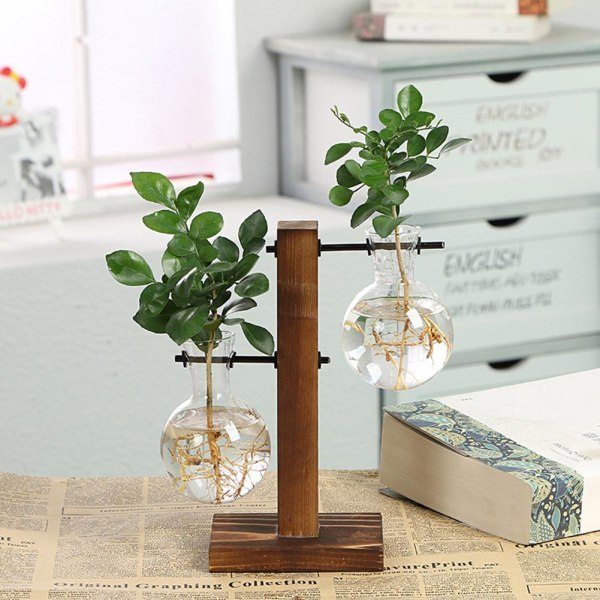 Hydroponisk Transparent Glas Vas Planter Träram Blomma Va C One-size
