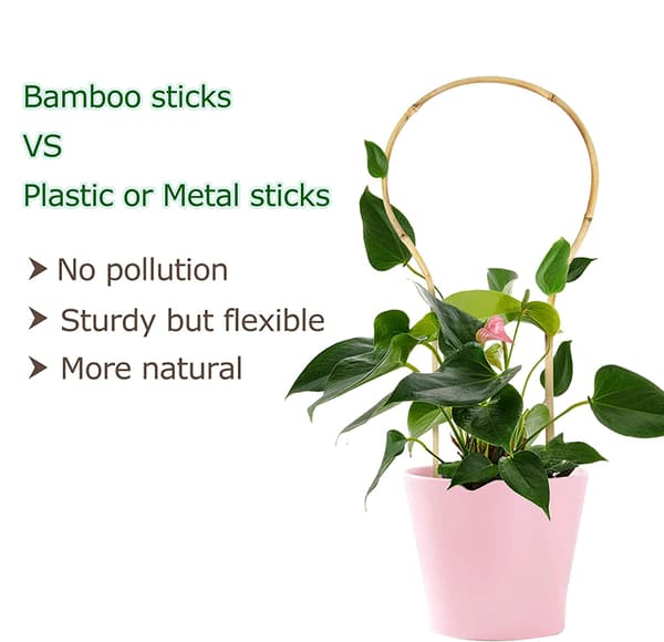Form Bambus Plantestøtte - 40cm for Innendørs Klatreplanter, Eføy