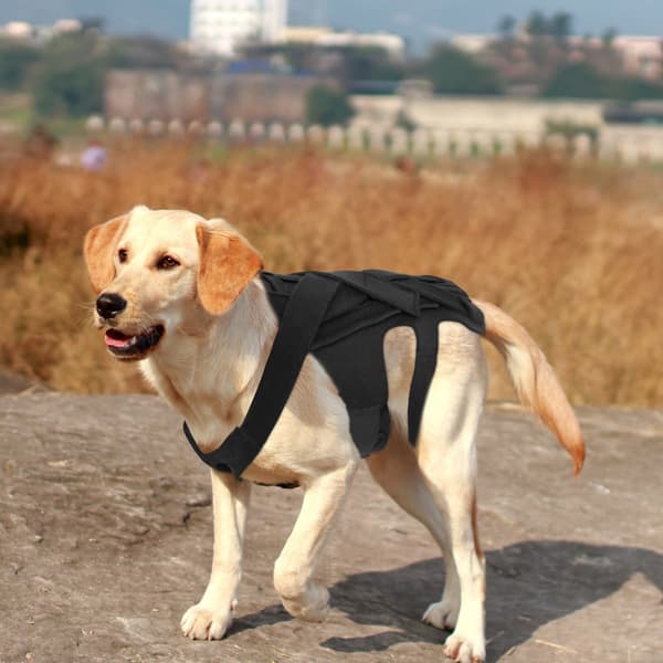 Hundesele Taktisk Hundesele Smertelindring