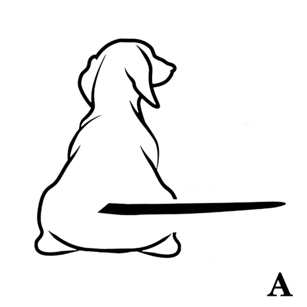 Rolig hund som rör på svansen dekal hund vindrutetorkare klistermärke söt black One-size