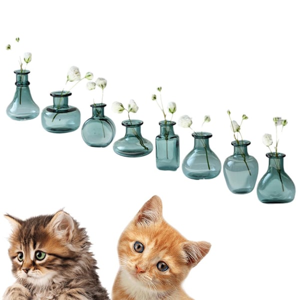Liten vas för kattmorrhår, Mini Vas, Miniatyrvas, Liten Vas B one
